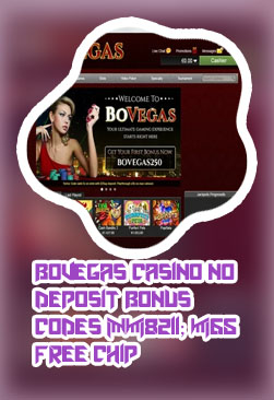Bovegas casino bonus code no deposit