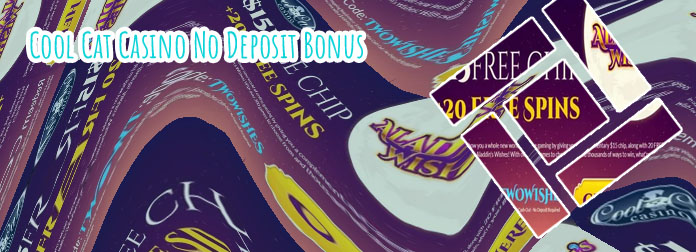Cool cat casino no deposit bonus